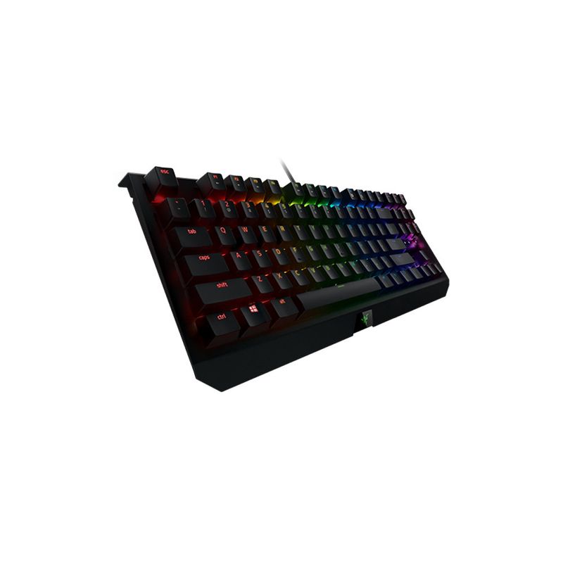 112300-2-Teclado_USB_Razer_Blackwidow_X_Tournament_Chroma_112300-5