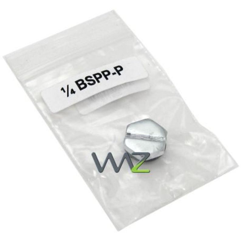 99017-3-conector_swiftech_chrome_plated_brass_plug_bspp_1_4bspp_p_bulk-5