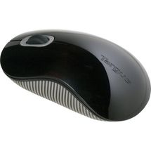 Mouse - USB (Wireless) - Targus Wireless Mouse - AMW51US