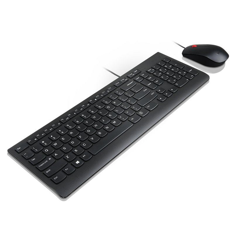 124569-2-Teclado_e_Mouse_USB_Lenovo_Essential_USB_4X30L79888_124569