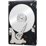 125673-1-HD_300GB_SAS_IBM_42D0638_25pol_6Gbs_10K_RPM_16MB_Cache_125673