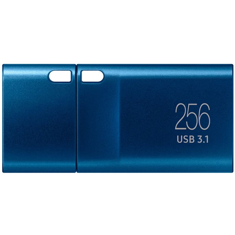 127197-2-Pendrive_USB_C_256GB_SAMSUNG_Type_C_USB_Flash_Drive_MUF_256DAAM_127197