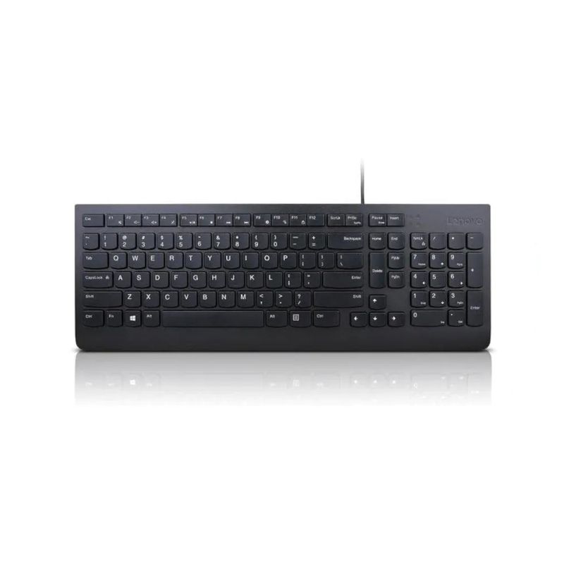 130556-3-Teclado-e-Mouse-USB-Lenovo-Essential-USB-4Y41C68647-130556